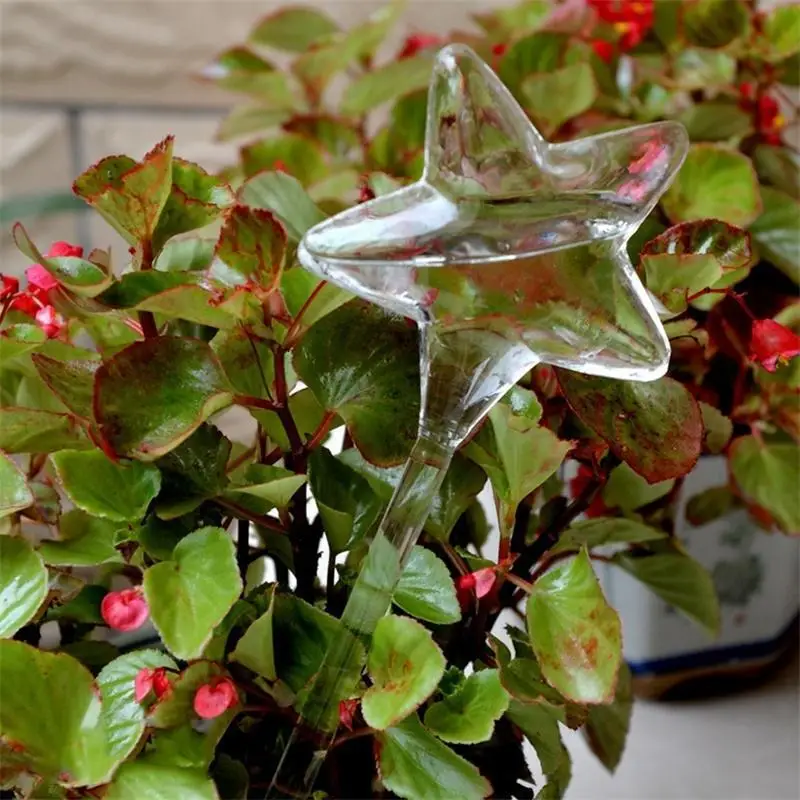 Adeeing Beautiful Lucky Star Self Flower Watering Tool Home Decoration Gardening Supplies
Adeeing Beautiful Lucky Star Self Flower Watering Tool Home Decoration Gardening Supplies