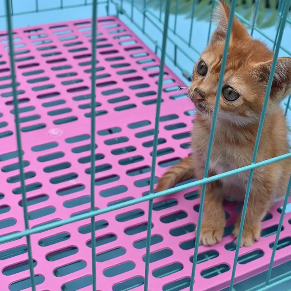 Plastic Wear-resistant Cage Mat cat dog Accessories Grids Holes Small Animal Anti-slip Cushion Feet Pads Easy Cleaning
Plastic Wear-resistant Cage Mat cat dog Accessories Grids Holes Small Animal Anti-slip Cushion Feet Pads Easy Cleaning