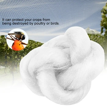 Anti Bird Netting Plastic Pond Fruit Tree Vegetables Net Protection Crops Flower Garden Mesh Protect Gardening Pest Control
Anti Bird Netting Plastic Pond Fruit Tree Vegetables Net Protection Crops Flower Garden Mesh Protect Gardening Pest Control