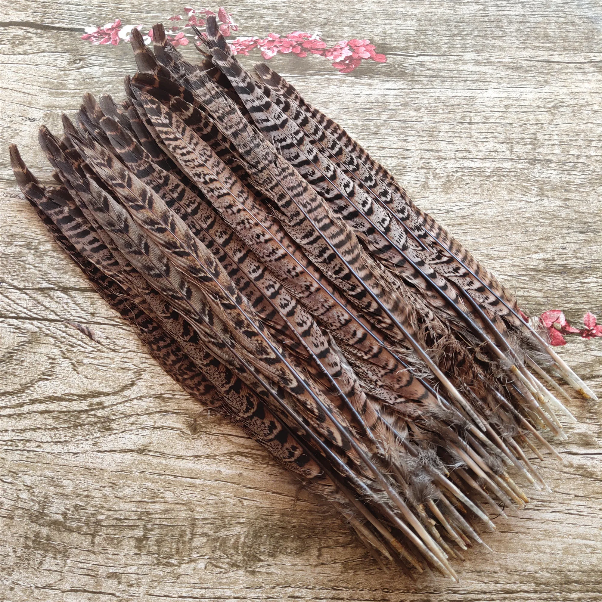 Wholesale! Precious 10/100pcs More Size 4-14inches/10-35cm Natural pheasant feathers For Wedding Decor,Party Supplies
Wholesale! Precious 10/100pcs More Size 4-14inches/10-35cm Natural pheasant feathers For Wedding Decor,Party Supplies