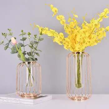 AUGKUN Lantern-shaped Wrought Iron Holder Vase Nordic Champagne Gold Glass Test Tube Hydroponic Container Home Glass Bottle
AUGKUN Lantern-shaped Wrought Iron Holder Vase Nordic Champagne Gold Glass Test Tube Hydroponic Container Home Glass Bottle