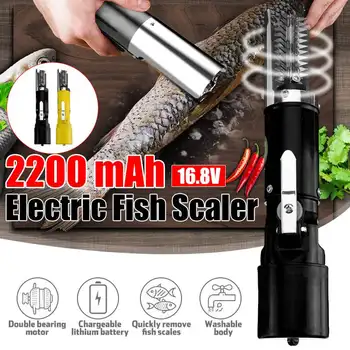Cordless Electric Fish Scaler Cleaner Fish Scale Remover Machine Scale Scraper Descaler Fish Knife Peeler Seafood Tool 2200MAH
Cordless Electric Fish Scaler Cleaner Fish Scale Remover Machine Scale Scraper Descaler Fish Knife Peeler Seafood Tool 2200MAH