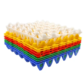 6 pcs Farm Chicken Eggs Trays Turner Equipments Plastic Duck Quail Bird Poultry Eggs Tray Farm Tools Supplies
6 pcs Farm Chicken Eggs Trays Turner Equipments Plastic Duck Quail Bird Poultry Eggs Tray Farm Tools Supplies