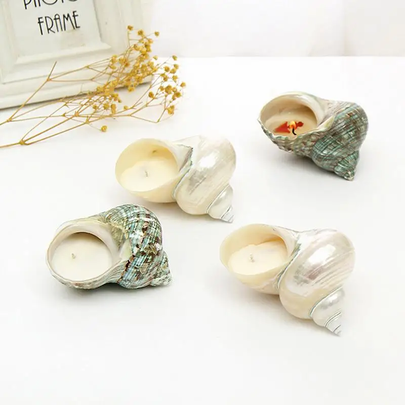 Creative Shell Shape Natural Essential Oils Scented Candle Gift Eco-Friendly Soy Wax Candle Banquet Wedding Home Office Decor
Creative Shell Shape Natural Essential Oils Scented Candle Gift Eco-Friendly Soy Wax Candle Banquet Wedding Home Office Decor