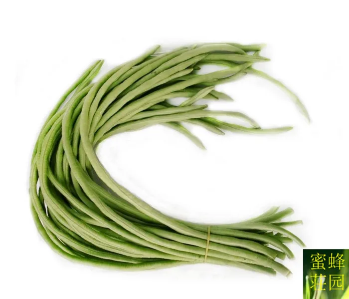 Long bean ginger bean cowpea bonsai four seasons corner beans with beans long cowpea bonsais about 10pcs
Long bean ginger bean cowpea bonsai four seasons corner beans with beans long cowpea bonsais about 10pcs