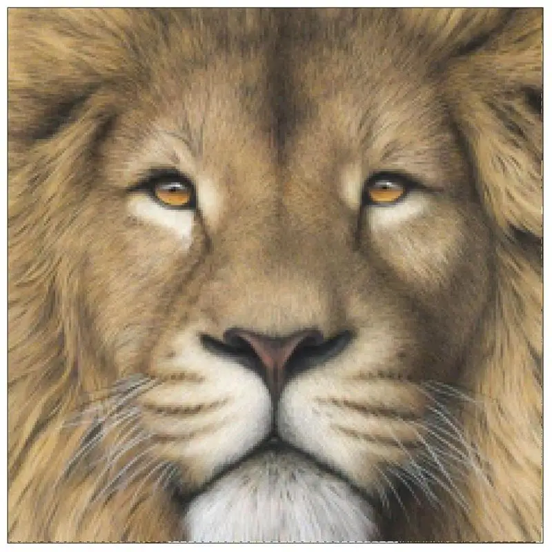 Lion 5D Diamond Painting Embroidery Painting Round Drill Cross Stitch Craft Needlework Mosaic Picture Home Decor
Lion 5D Diamond Painting Embroidery Painting Round Drill Cross Stitch Craft Needlework Mosaic Picture Home Decor