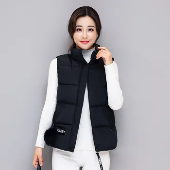 Autumn New Korean Edition Feather Down Cotton vest Women's Thickened Standing Collar Cotton Vest Coat
Autumn New Korean Edition Feather Down Cotton vest Women's Thickened Standing Collar Cotton Vest Coat