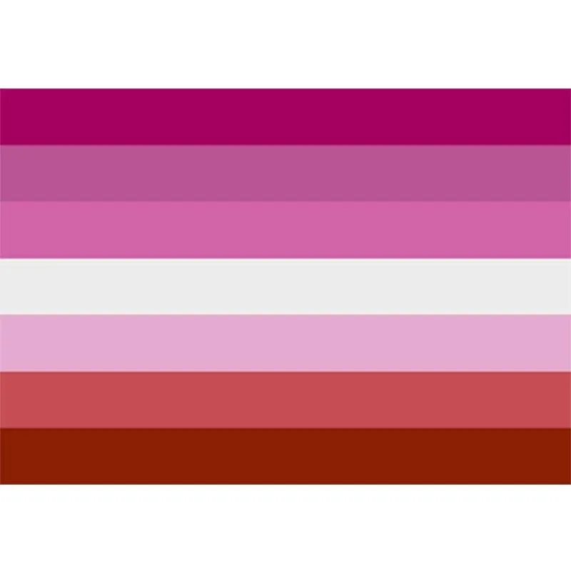 Pink Pride Flags Colorful Rainbow Flag 1pc 3x5FT 90*150cm Lesbian Gay Parade Banners LGBT Pride Flag Polyester for Decoration
Pink Pride Flags Colorful Rainbow Flag 1pc 3x5FT 90*150cm Lesbian Gay Parade Banners LGBT Pride Flag Polyester for Decoration