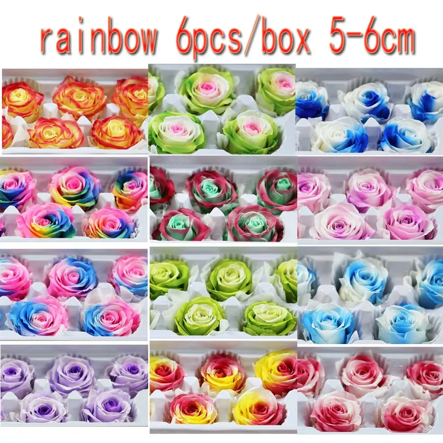 Rainbow 5-6cm 6pcs/box Fresh Cut flower Preserved Roses Wedding Home Decoration Flowers A Grade Valentine Christmas Festival
Rainbow 5-6cm 6pcs/box Fresh Cut flower Preserved Roses Wedding Home Decoration Flowers A Grade Valentine Christmas Festival
