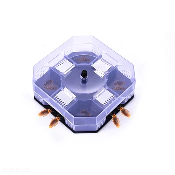 Non- Toxic Cockroach Traps High Quality Reusable Plastic Large Size Insect Killer Lizard Catcher Physical Cockroach Catching 2
Non- Toxic Cockroach Traps High Quality Reusable Plastic Large Size Insect Killer Lizard Catcher Physical Cockroach Catching 2