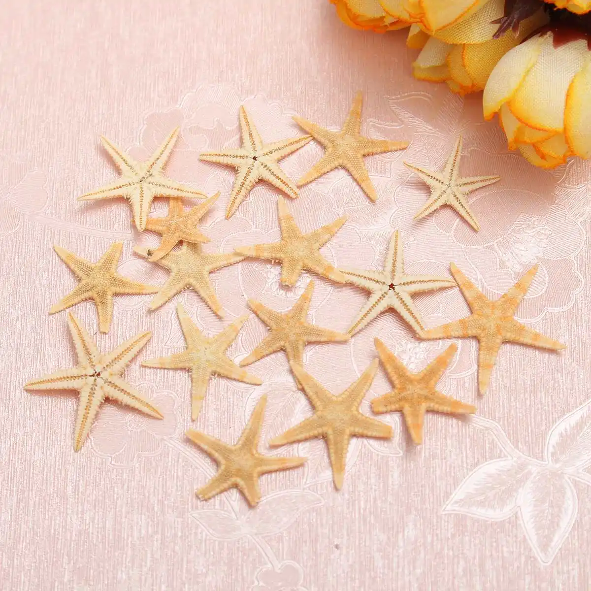 20pcs Natural Sea Fish Star Ocean Sea Animal Fish For Terrarium Micro Landscape Decor Ornament 1.5-2.0cm
20pcs Natural Sea Fish Star Ocean Sea Animal Fish For Terrarium Micro Landscape Decor Ornament 1.5-2.0cm