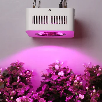 ABAY Led Plant Grow Light Full Spectrum 200w Ip67 Cob Grow Led Flood Light For Plant Indoor Outdoor Hydroponic Greenhouse
ABAY Led Plant Grow Light Full Spectrum 200w Ip67 Cob Grow Led Flood Light For Plant Indoor Outdoor Hydroponic Greenhouse