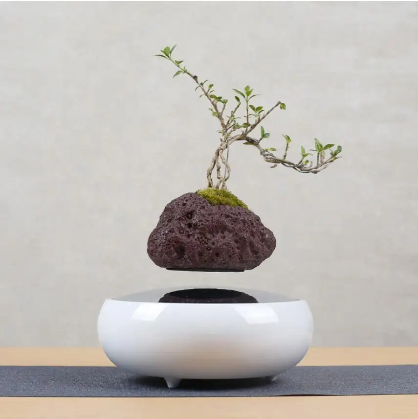 Magnetic Levitation Air Floating Bonsai Plant Pot Mini Plastic Flower Sky Plant Pot Succulent Plant Pot U.S. EU
Magnetic Levitation Air Floating Bonsai Plant Pot Mini Plastic Flower Sky Plant Pot Succulent Plant Pot U.S. EU