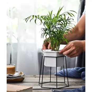Planter Pots Indoor Hexagon Modern Garden Ceramic Round Bowl with Metal Air Plant Stand for Succulent Planter Cactus
Planter Pots Indoor Hexagon Modern Garden Ceramic Round Bowl with Metal Air Plant Stand for Succulent Planter Cactus