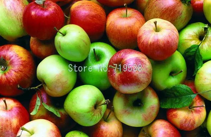 Apple bonsais Saplings of fruit the following year the results in Fuji fruit and vegetables bonsais 10pcs / pack
Apple bonsais Saplings of fruit the following year the results in Fuji fruit and vegetables bonsais 10pcs / pack