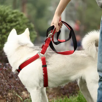 New Pattern Tow Rope Teddy Dog Chain Chain Dog Chain Samoye Dog Chain Large Chest Straps
New Pattern Tow Rope Teddy Dog Chain Chain Dog Chain Samoye Dog Chain Large Chest Straps