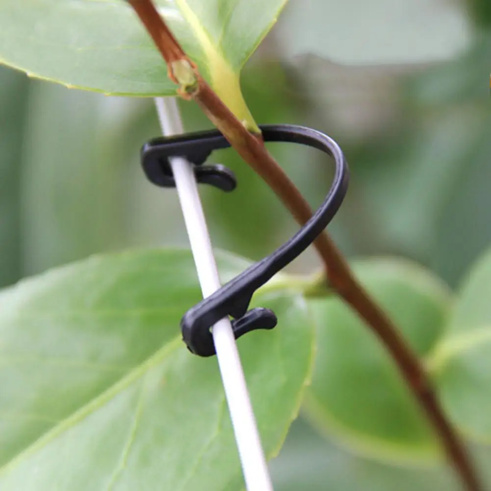 

100PCS Vines Fastener Tied Buckle Hook Plant Vegetable Grafting Clips Agricultural Greenhouse Supplies