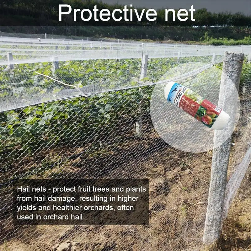 Garden Prevent Bird Net Hail Net for Grape Orchard Cherry Tree Fish Pond Breeding Net Malla Antipajaros Jardinage Accessories
Garden Prevent Bird Net Hail Net for Grape Orchard Cherry Tree Fish Pond Breeding Net Malla Antipajaros Jardinage Accessories
