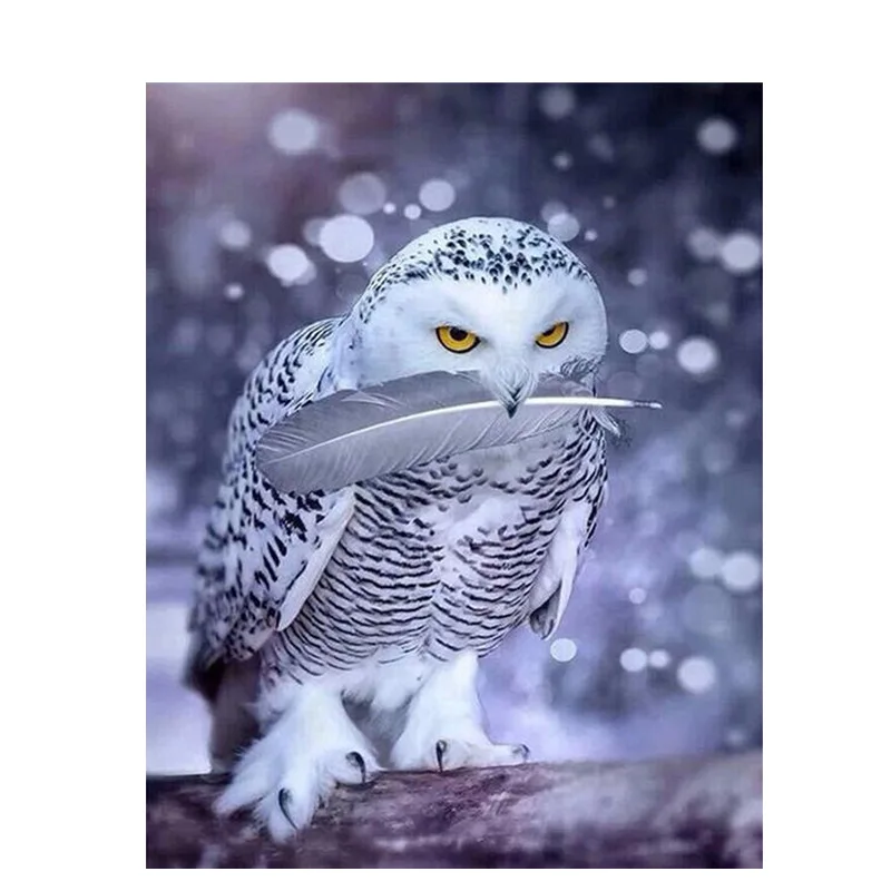 Diy Painting By Numbers Animals Home Decoration Wall Art Pictures By Numbers Poster Painting Home Decor Oil Painting
Diy Painting By Numbers Animals Home Decoration Wall Art Pictures By Numbers Poster Painting Home Decor Oil Painting