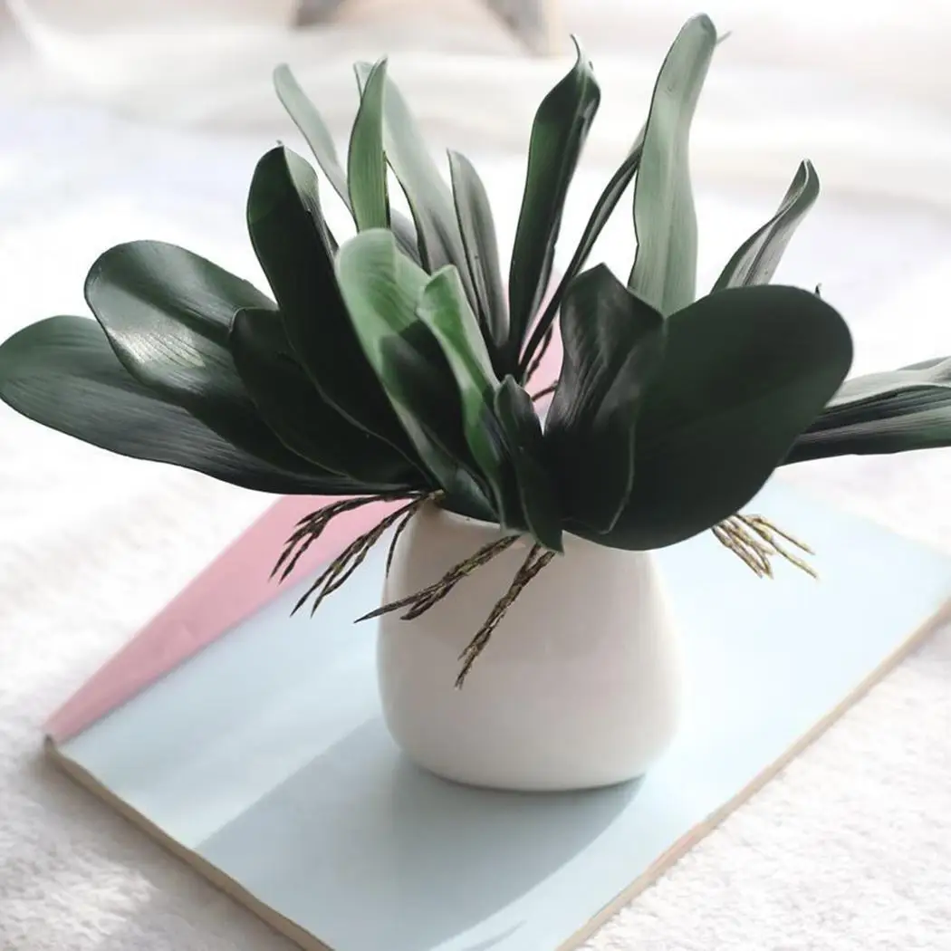 Fake 18 5G Artificial Plant Green 1pcs Leaf Plant Home Plants Decoration Phalaenopsis
Fake 18 5G Artificial Plant Green 1pcs Leaf Plant Home Plants Decoration Phalaenopsis