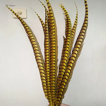 100pcs 26-30inch 65-75cm natural Lady Amherst Pheasant Feather for carnival party yellow pheasant feathers costumes decoration
100pcs 26-30inch 65-75cm natural Lady Amherst Pheasant Feather for carnival party yellow pheasant feathers costumes decoration