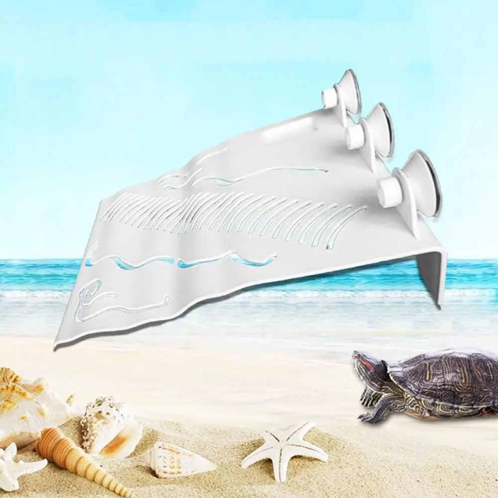 Breeding Box Decoration Extra Large Size Turtle Drying Platform Climbing Platform Floating Platform Landscaping Reptile House
Breeding Box Decoration Extra Large Size Turtle Drying Platform Climbing Platform Floating Platform Landscaping Reptile House