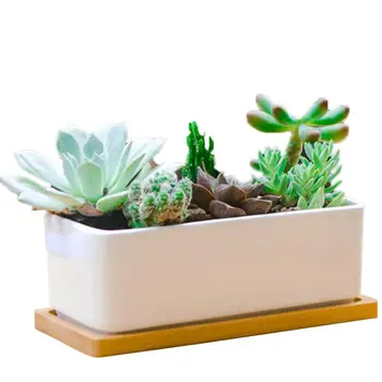 1 Set Minimalist White Ceramic Succulent Plant Pot Porcelain Planter Decorative Desktop Flower Pot Home Decor(1 Pot + 1 Tray)
1 Set Minimalist White Ceramic Succulent Plant Pot Porcelain Planter Decorative Desktop Flower Pot Home Decor(1 Pot + 1 Tray)