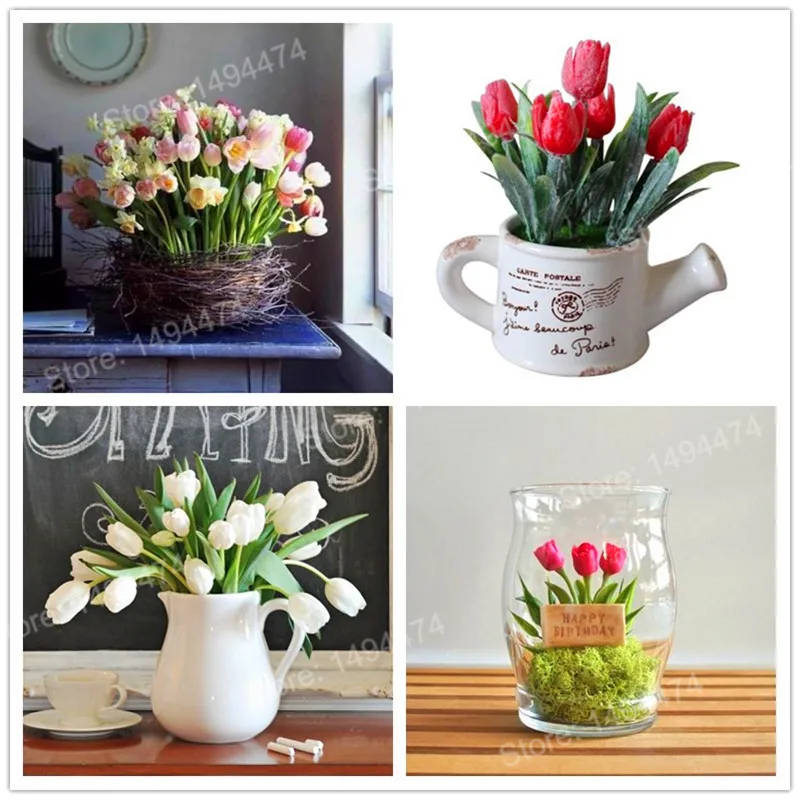 Hot Sale! 100pcs rare mini tulip Plantas colorful flower Flores High-grade Flower Bonsai Planten mini bonsai plant for home gar
Hot Sale! 100pcs rare mini tulip Plantas colorful flower Flores High-grade Flower Bonsai Planten mini bonsai plant for home gar