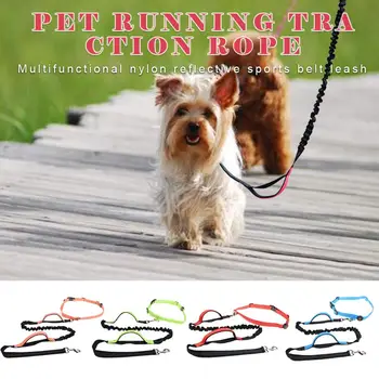 Pet Dog Leash Collar Chest Strap Belt Dog Multi-function LED Nylon Reflective Outdoor Sports Belt Traction Rope
Pet Dog Leash Collar Chest Strap Belt Dog Multi-function LED Nylon Reflective Outdoor Sports Belt Traction Rope
