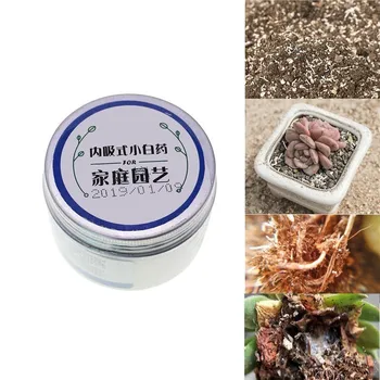 1pc Flower Plant Succulent Vegetable Insecticide Cure Fertilize White Medicine Kill Black Fly Shell Soil Scale Insects Kill
1pc Flower Plant Succulent Vegetable Insecticide Cure Fertilize White Medicine Kill Black Fly Shell Soil Scale Insects Kill