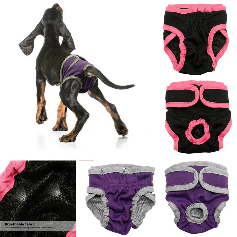 Washable Female Dog Physiological Pant Dog Clothes Pet Cat Sanitary Nappy Diaper Physiological Pants Panties Underwear Girl New
Washable Female Dog Physiological Pant Dog Clothes Pet Cat Sanitary Nappy Diaper Physiological Pants Panties Underwear Girl New