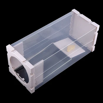 Reusable Mouse Trap Plastic Non-Toxic Pest Repeller Fast Catch Rat Hamster Household Mouse Artifact Small Animal Live Cage CF
Reusable Mouse Trap Plastic Non-Toxic Pest Repeller Fast Catch Rat Hamster Household Mouse Artifact Small Animal Live Cage CF