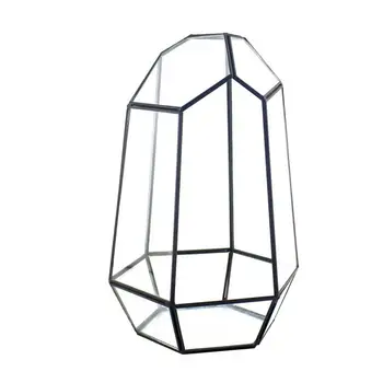 Closed Irregular Glass Terrarium With Door Succulent Planter Geometric Flower Plant Pot Tabletop Small Bonsai Reptile Container
Closed Irregular Glass Terrarium With Door Succulent Planter Geometric Flower Plant Pot Tabletop Small Bonsai Reptile Container