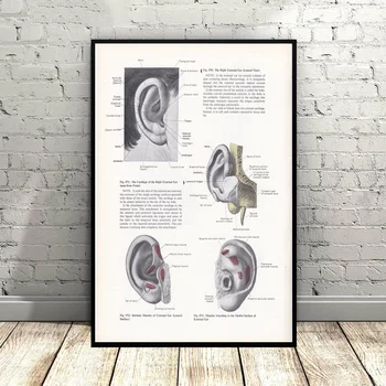 Print of Ear & Tongue Steampunk Illustration Art Canvas Poster Wall Pictures for Living Room No Frame
Print of Ear & Tongue Steampunk Illustration Art Canvas Poster Wall Pictures for Living Room No Frame