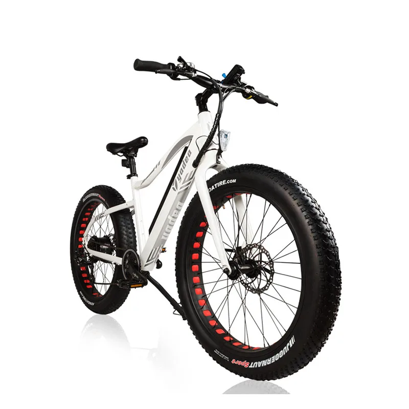 Daibot Off Road Electric Scooter Two Wheel Electric Bicycle Samsung Lithium Battery 36V 350W Double Brakes Electric Scooter Bike
Daibot Off Road Electric Scooter Two Wheel Electric Bicycle Samsung Lithium Battery 36V 350W Double Brakes Electric Scooter Bike