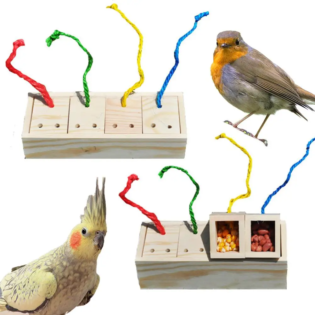 Bird Feeder Feeding Bird Toy Pet Color Changing Feeder Bird Parrot Educational Toy Foraging Device Large Parrot Puzzle Toy
Bird Feeder Feeding Bird Toy Pet Color Changing Feeder Bird Parrot Educational Toy Foraging Device Large Parrot Puzzle Toy
