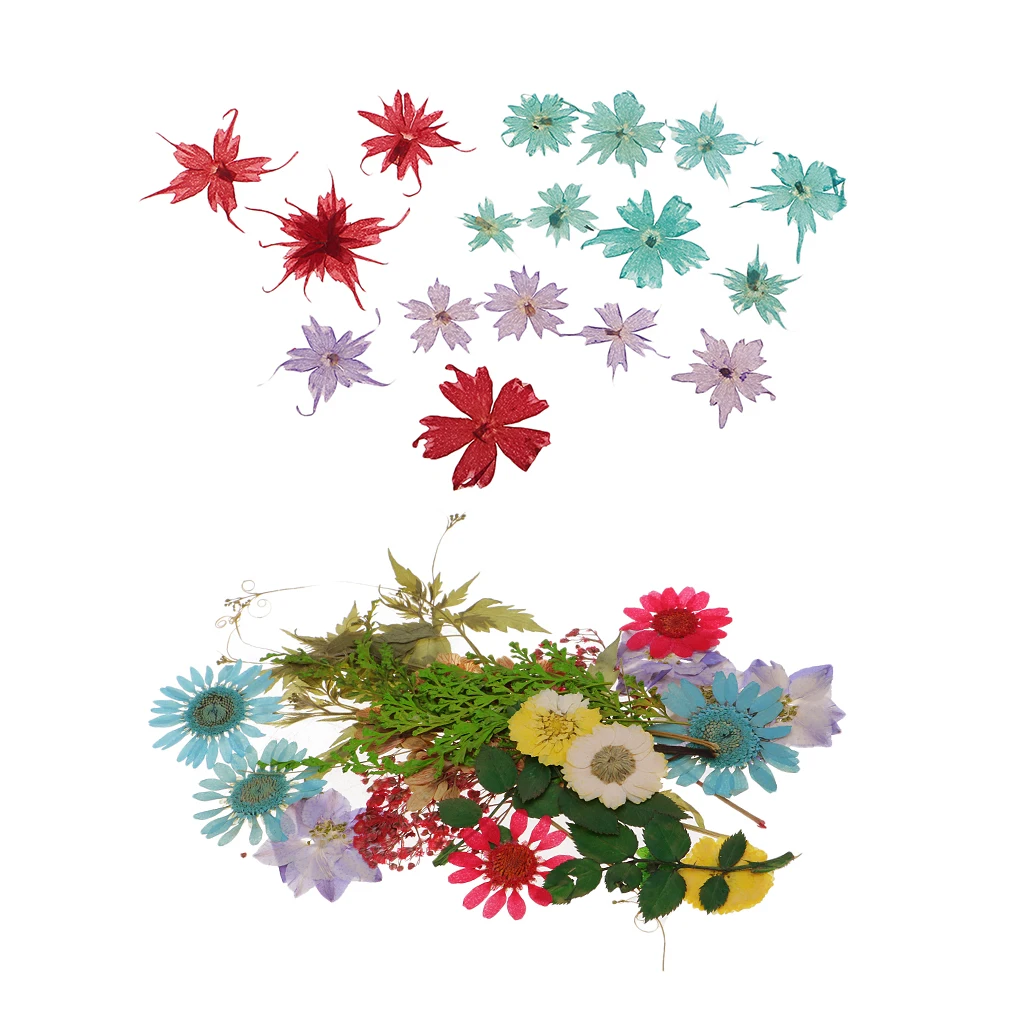 45 Piece Natural Dried Flower Real Flower Mixed For DIY Resin Ornament Craft Card Making Scrapbooking Embellishments
45 Piece Natural Dried Flower Real Flower Mixed For DIY Resin Ornament Craft Card Making Scrapbooking Embellishments