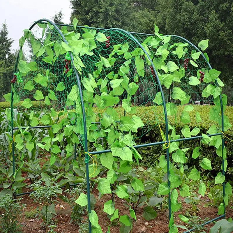 Plant Trellis Vine Plant Climbing Plant Trellis Vegetables Fruits Gardening Nylon Trellis Support Net Frame
Plant Trellis Vine Plant Climbing Plant Trellis Vegetables Fruits Gardening Nylon Trellis Support Net Frame