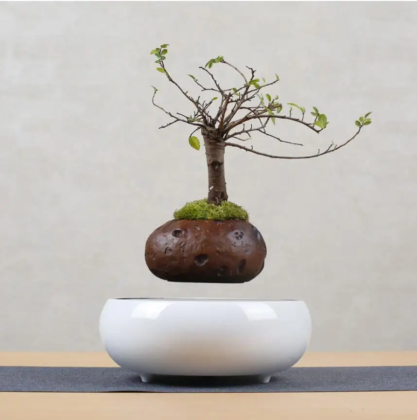 2018 japan magnetic levitation Floating Plants Ceramic Flower Pot bonsai pot best Gifts for Men free shipping (no plant)
2018 japan magnetic levitation Floating Plants Ceramic Flower Pot bonsai pot best Gifts for Men free shipping (no plant)