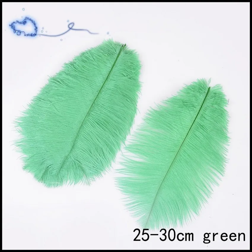ostrich feathers 20-25cm for craft wedding party supplies Carnival dancer decoration plumages
ostrich feathers 20-25cm for craft wedding party supplies Carnival dancer decoration plumages