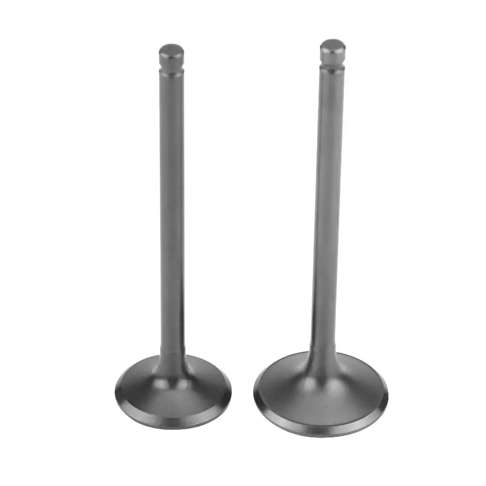 1 Pair Motorcycle Engine Valve Intake Exhaust Valve Universal for Suzuki GN125 GS125 GS GN 125CC NEW Motorcycle Accessories
1 Pair Motorcycle Engine Valve Intake Exhaust Valve Universal for Suzuki GN125 GS125 GS GN 125CC NEW Motorcycle Accessories