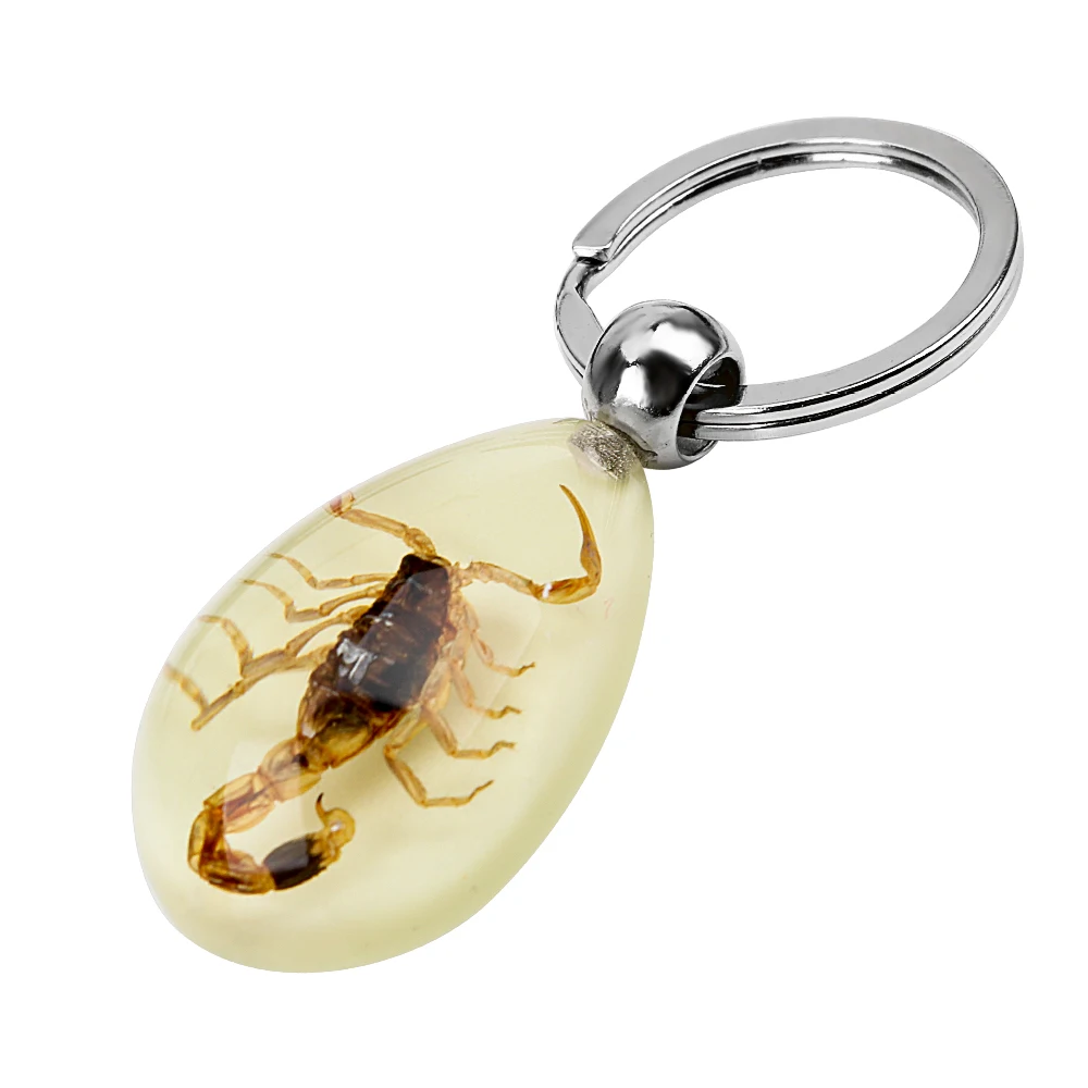 Key Holder Handbag Wallet Pendant Creative Scorpion Keychain Scorpion Amber Pendant Car-styling Noctilucent Car Keyring
Key Holder Handbag Wallet Pendant Creative Scorpion Keychain Scorpion Amber Pendant Car-styling Noctilucent Car Keyring