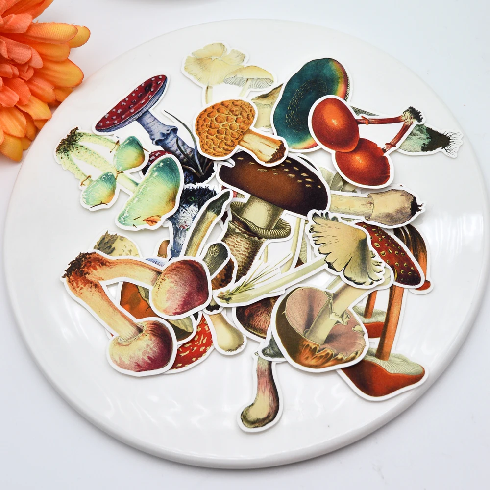 25pcs Hand Drawing Colorful Cute Mushroom sticker Notebook Planner Scrapbooking/DIY Dairy Paper Sticker
25pcs Hand Drawing Colorful Cute Mushroom sticker Notebook Planner Scrapbooking/DIY Dairy Paper Sticker