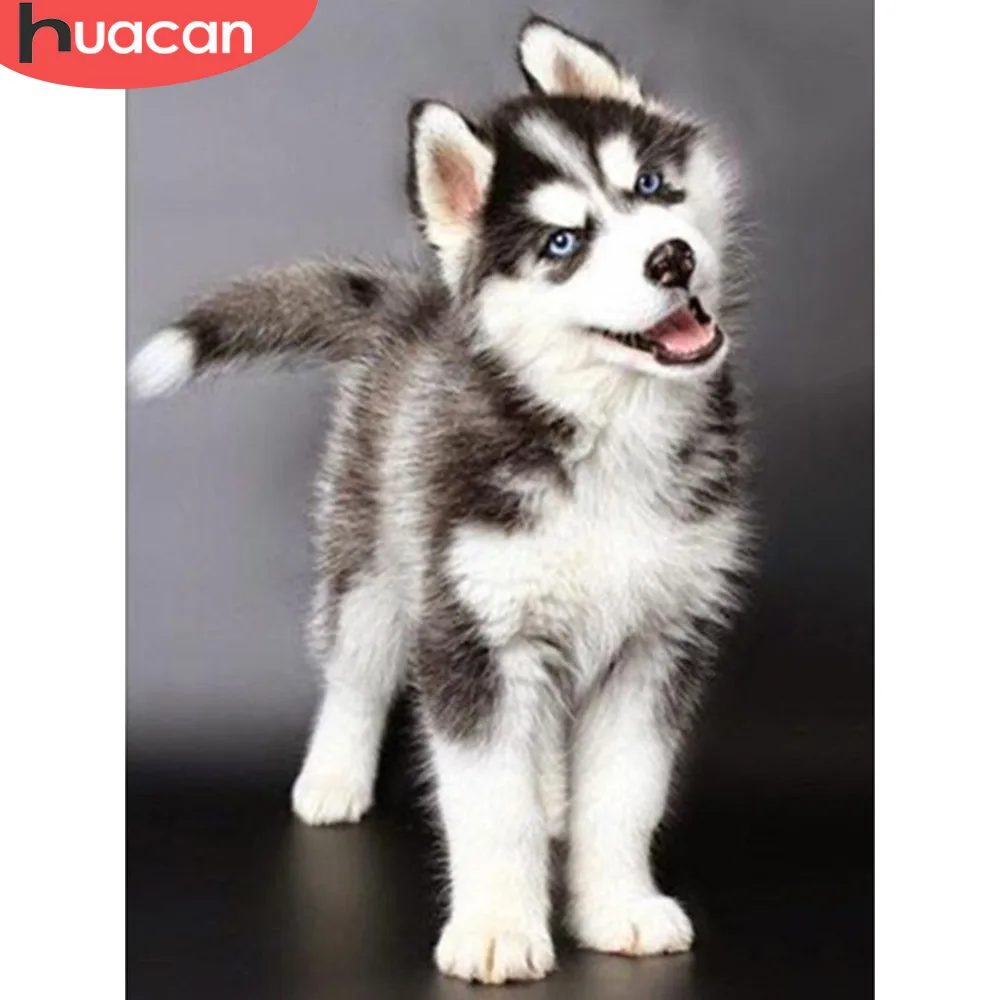 HUACAN 5D DIY Diamond Painting Animal Dog Full Round Drill Picture Of Rhinestone Embroidery Sale Diamond Mosaic Home Decor Gift
HUACAN 5D DIY Diamond Painting Animal Dog Full Round Drill Picture Of Rhinestone Embroidery Sale Diamond Mosaic Home Decor Gift