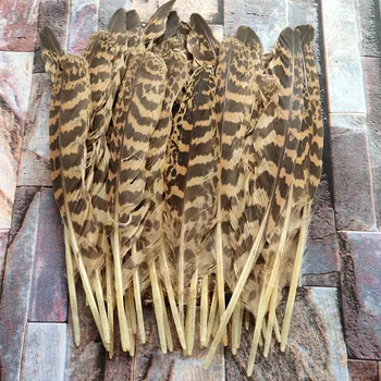 Wholesale 44pcs/lot A Sets Scarce Natural Pheasant Feathers Long 16-25 cm Eagle Tail Feathers DIY Jewelry Wedding decoration
Wholesale 44pcs/lot A Sets Scarce Natural Pheasant Feathers Long 16-25 cm Eagle Tail Feathers DIY Jewelry Wedding decoration