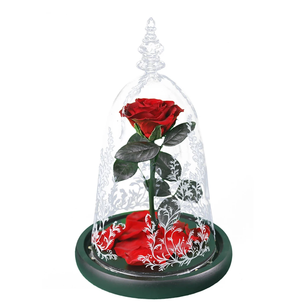 Preserved Flower Decorative Elegant Lighting Everlasting Rose Table Ornament for Valentine's Day
Preserved Flower Decorative Elegant Lighting Everlasting Rose Table Ornament for Valentine's Day