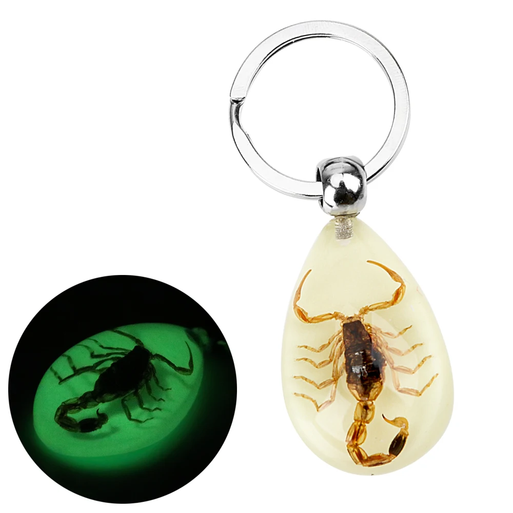 Creative Scorpion Car Keychain Noctilucent Scorpion Amber Pendant Handbag Wallet Pendant Car Keyring Key Holder Auto Accessories
Creative Scorpion Car Keychain Noctilucent Scorpion Amber Pendant Handbag Wallet Pendant Car Keyring Key Holder Auto Accessories