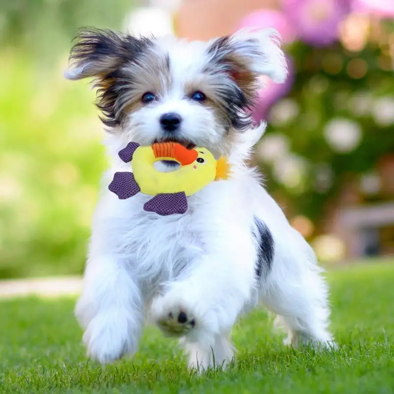 Dog Toy Squeak Chew Cute Animal Shaped Pet Toy Dog Plush TPR Ball Bite Sound Toys for Dod Puppy Pet Supplies
Dog Toy Squeak Chew Cute Animal Shaped Pet Toy Dog Plush TPR Ball Bite Sound Toys for Dod Puppy Pet Supplies
