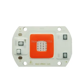 30W Full Spectrum 6040 F2525 High Power Integrated COB Led Chip Lamp 220V Red + Blue For Plant Grow Floodlight Lamp Lighting
30W Full Spectrum 6040 F2525 High Power Integrated COB Led Chip Lamp 220V Red + Blue For Plant Grow Floodlight Lamp Lighting