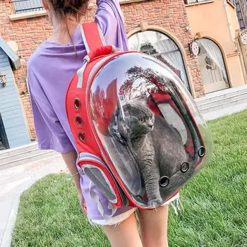 Breathable Transparent Clear Pet Carrier Bag Dog Outdoor Travel Backpack Pets Carrying Cage
Breathable Transparent Clear Pet Carrier Bag Dog Outdoor Travel Backpack Pets Carrying Cage